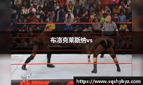 布洛克莱斯纳vs