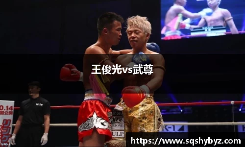 王俊光vs武尊