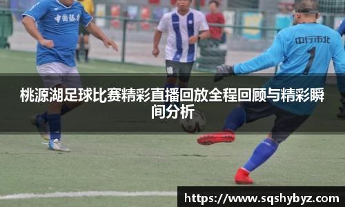 桃源湖足球比赛精彩直播回放全程回顾与精彩瞬间分析